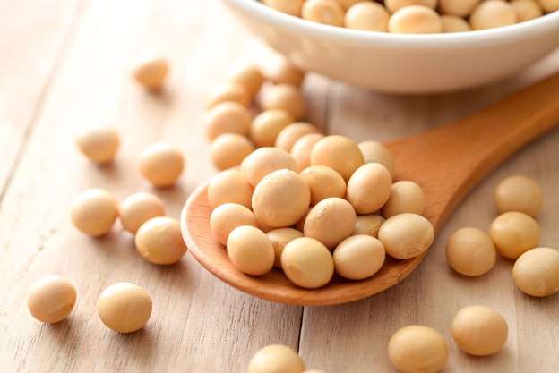PROTEINA DE SOYA X KG