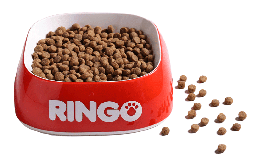 RINGO ADULTO X KG