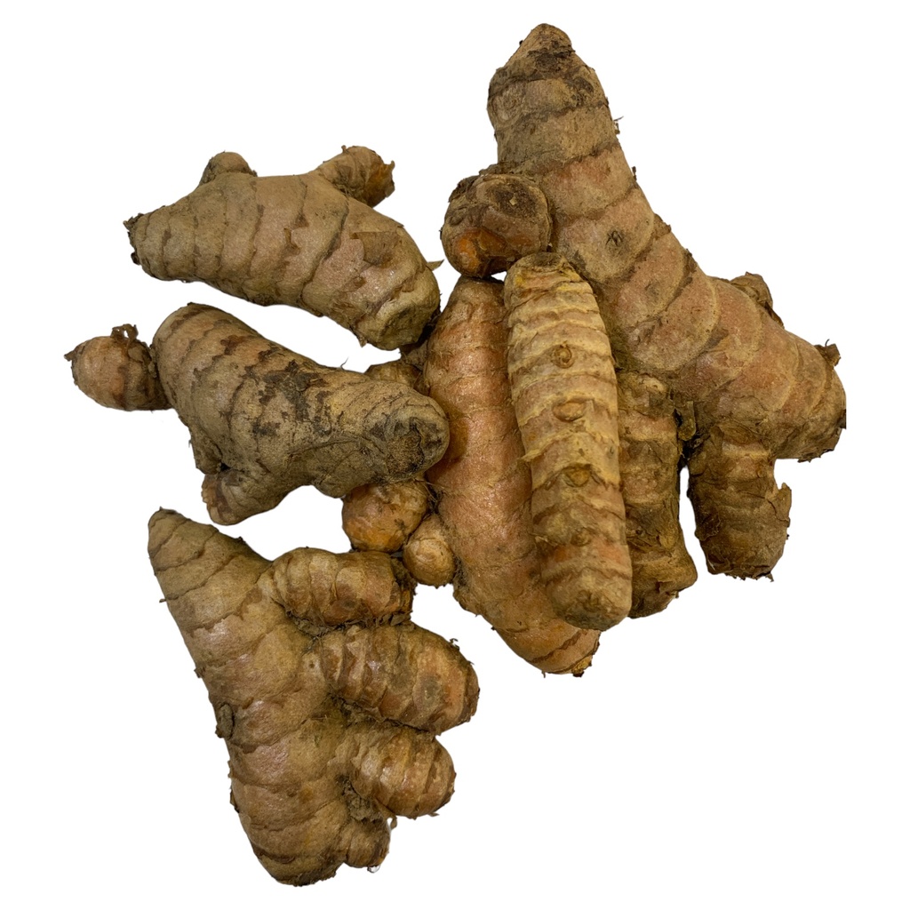 CURCUMA EN RAMA X KG