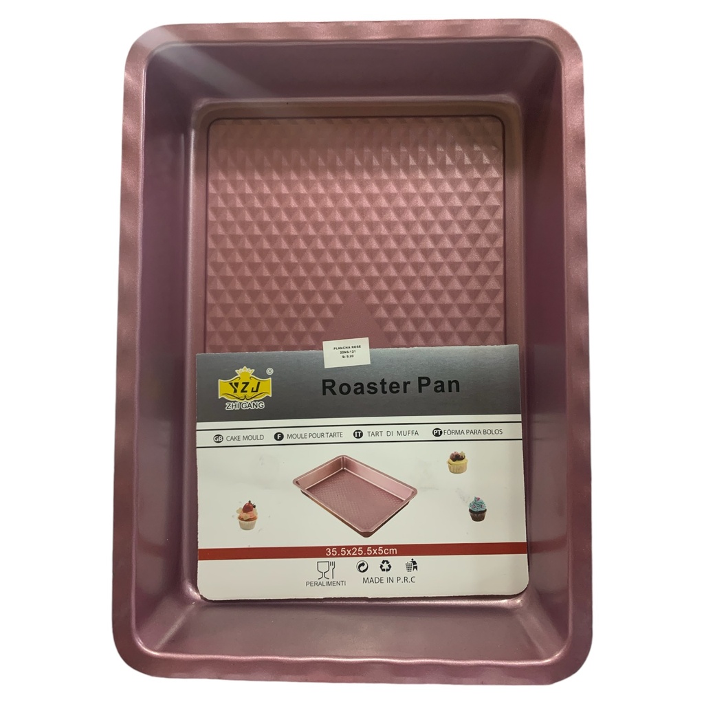 PLANCHA ROSE 22N6-121