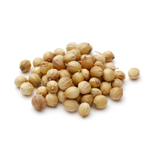 [K2135] SEMILLA DE CILANTRO X KG