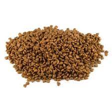 [K982] GATARINA GATSY X KG