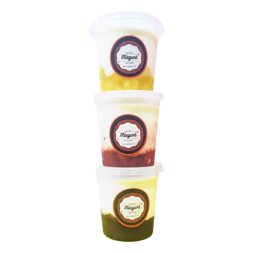 YOGURT VARIADO MIAGURT (FRESA,PIÑA,CIRUELAS Y NATURAL)