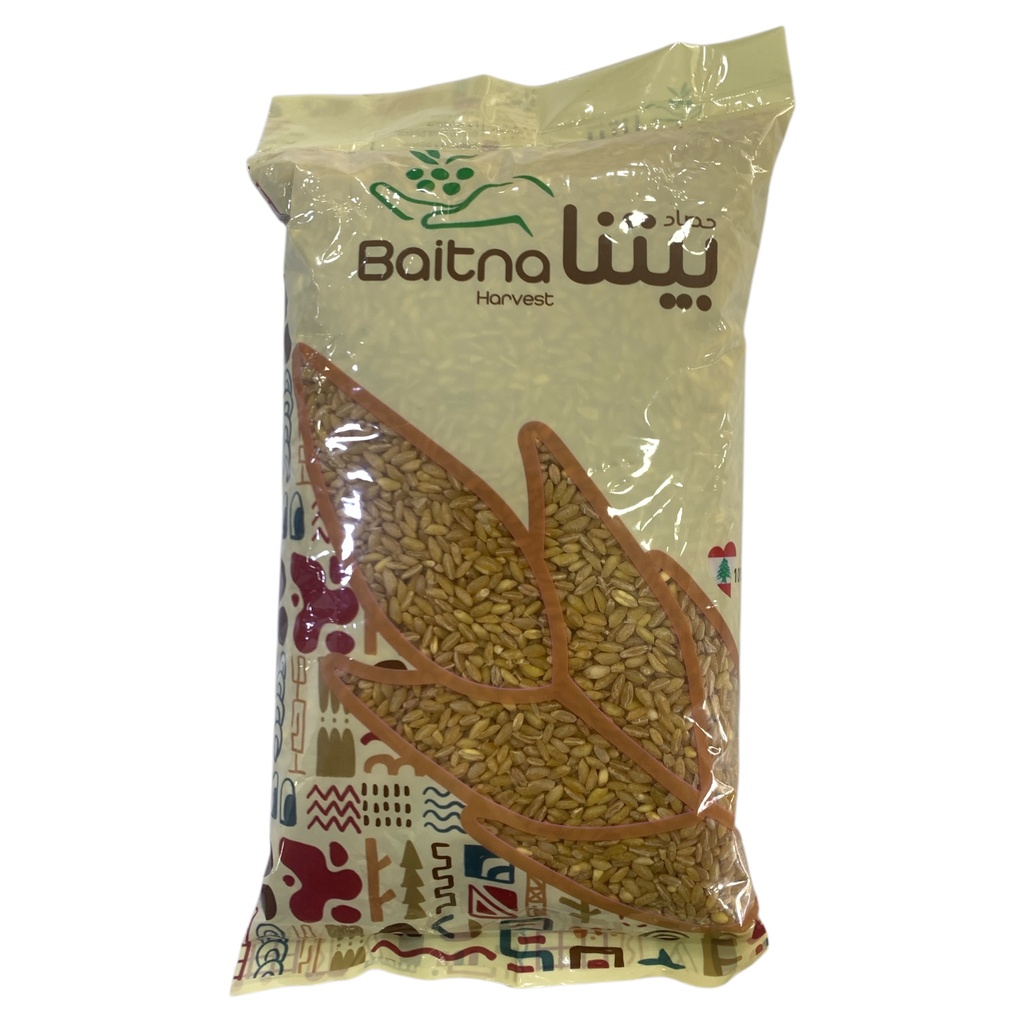 TRIGO N4 BAITNA 900GR