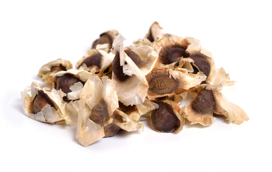 MORINGA EN SEMILLA X KG