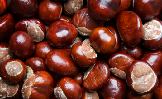 CASTAÑA POR KG