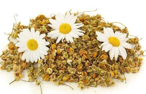 [K1487] MANZANILLA X KG