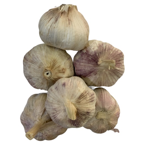 [K144] AJO ENTERO X KG