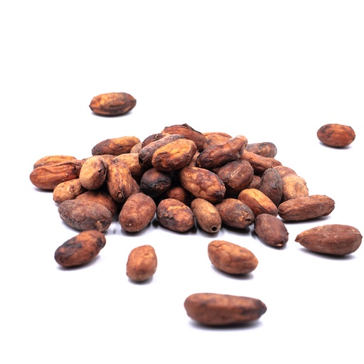 [K354] CACAO EN GRANOS