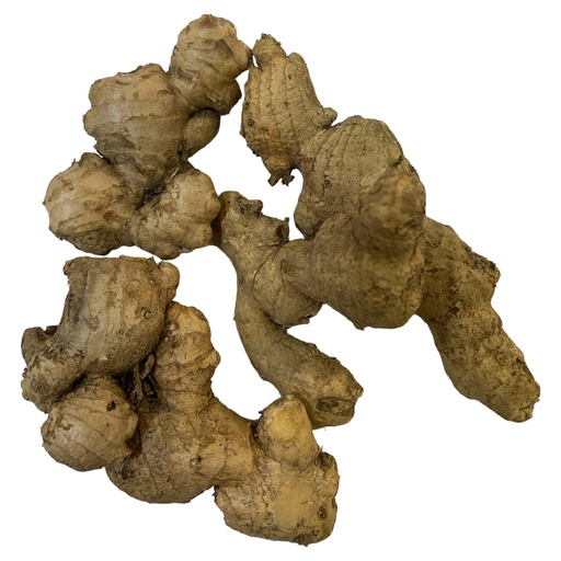 [K1236] JENGIBRE ENTERO X KG