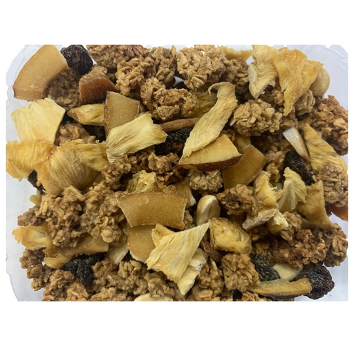 GRANOLA CON FRUTAS DESHIDRATADAS X KG